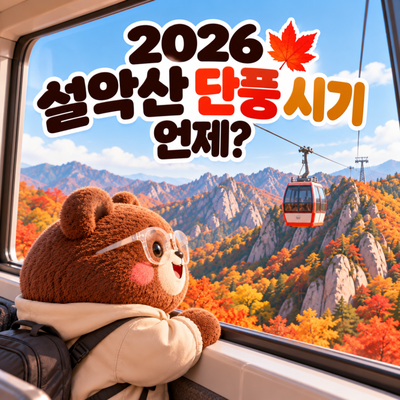 2026 설악산 단풍 시기 언제? 절정·단풍 코스·케이블카까지 총정리