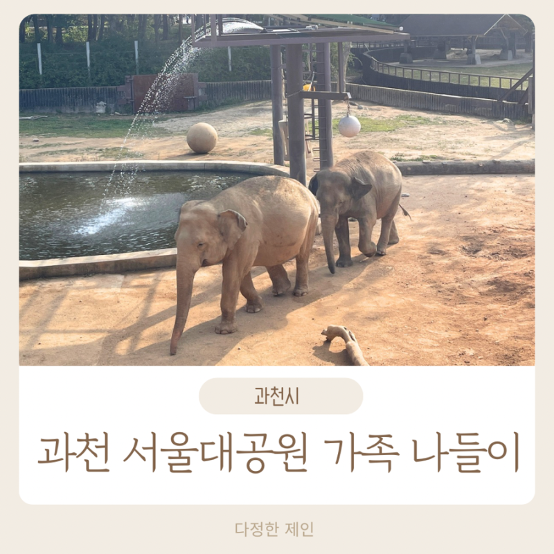 과천 서울대공원 동물원 리프트패키지 입장료 주차 다자녀할인