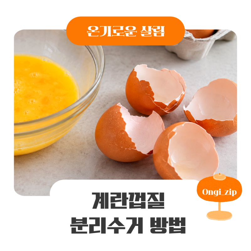 계란껍질 분리수거, 음식물쓰레기일까 일반쓰레기일까