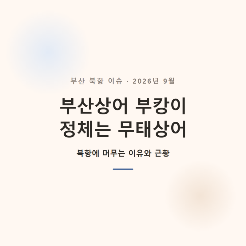 부산상어 부캉이 정체는? 무태상어 북항에 머무는 이유·근황 총정리