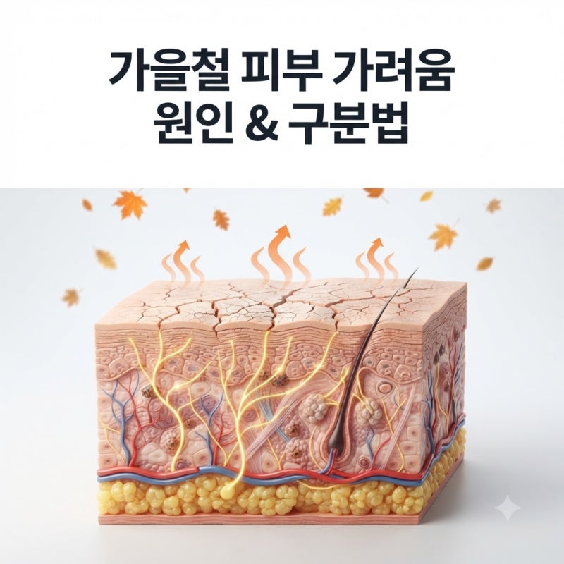 가을철 피부 가려움, 증상과 원인을 구분하는 법