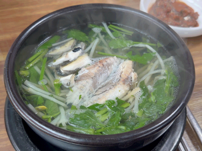 [경남 통영] 부일식당｜블루리본 선정 통영 현지인 복국 맛집, 아침식사 추천