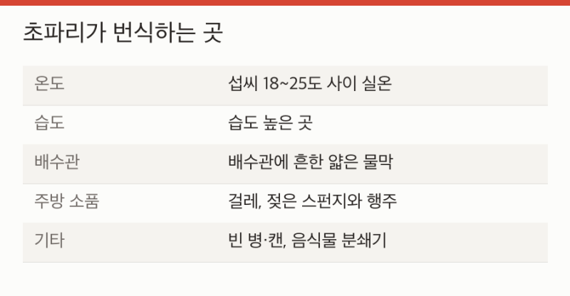 초파리 없애는 법, 트랩보다 먼저 봐야 할 곳은?