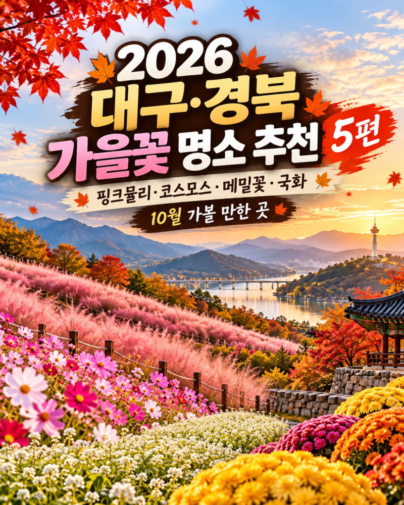 2026 대구·경북 가을꽃 명소 추천 BEST 4｜핑크뮬리·코스모스·국화 10월 가볼 만한 곳!