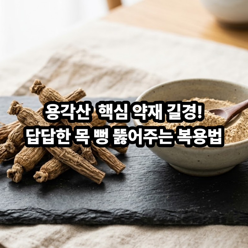 길경 효능과 부작용! 도라지 뿌리가 목 통증·기침 가래에 좋은 이유