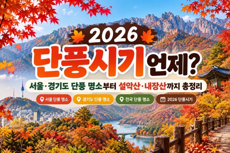 2026 단풍시기 언제? 서울·경기도 단풍 명소부터 설악산·내장산까지 총정리