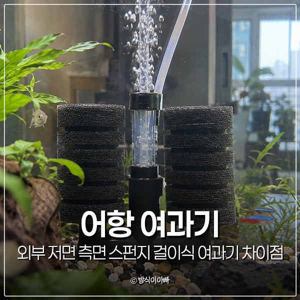 외부 저면 측면 스펀지 걸이식 어항 여과기 설치 차이점