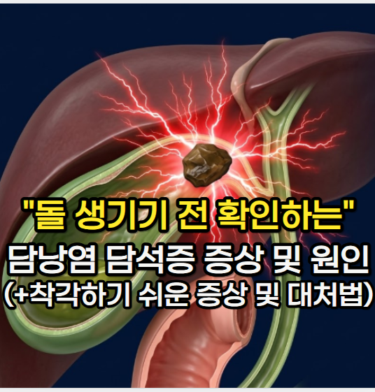 담낭염 증상 "의심될 때 확인하는" 담석증 증상 및 원인 (+ 급성 담낭염 및 유사 증상)