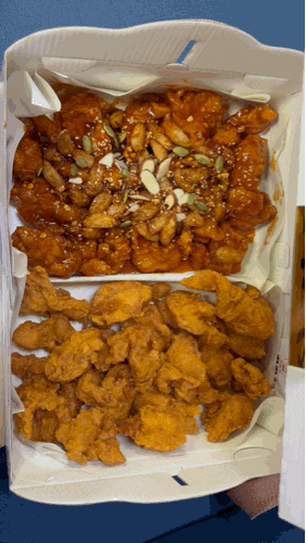 Sokcho Jungang Market Restaurant Review: Seomin Gapbu Sijang Dakjip Garlic Dakgangjeong and Fried Chicken for Kids