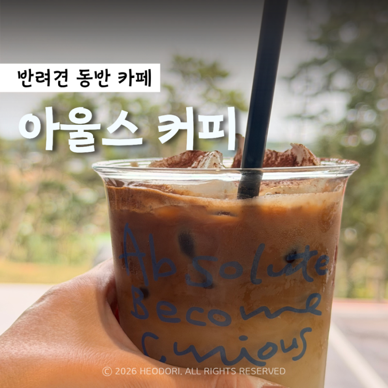 아울스 커피 : 영종도 바다뷰가 보이는 숲속 애견 동반 카페