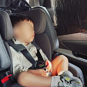 세돌아기 카시트 고민 끝! 다이치 토들러 주니어 브이가드 내돈내산