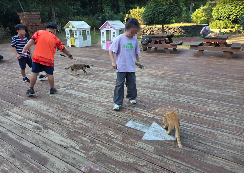 제주 가족여행 코스 추천! 아이와 놀거리 가득한 김녕미로공원