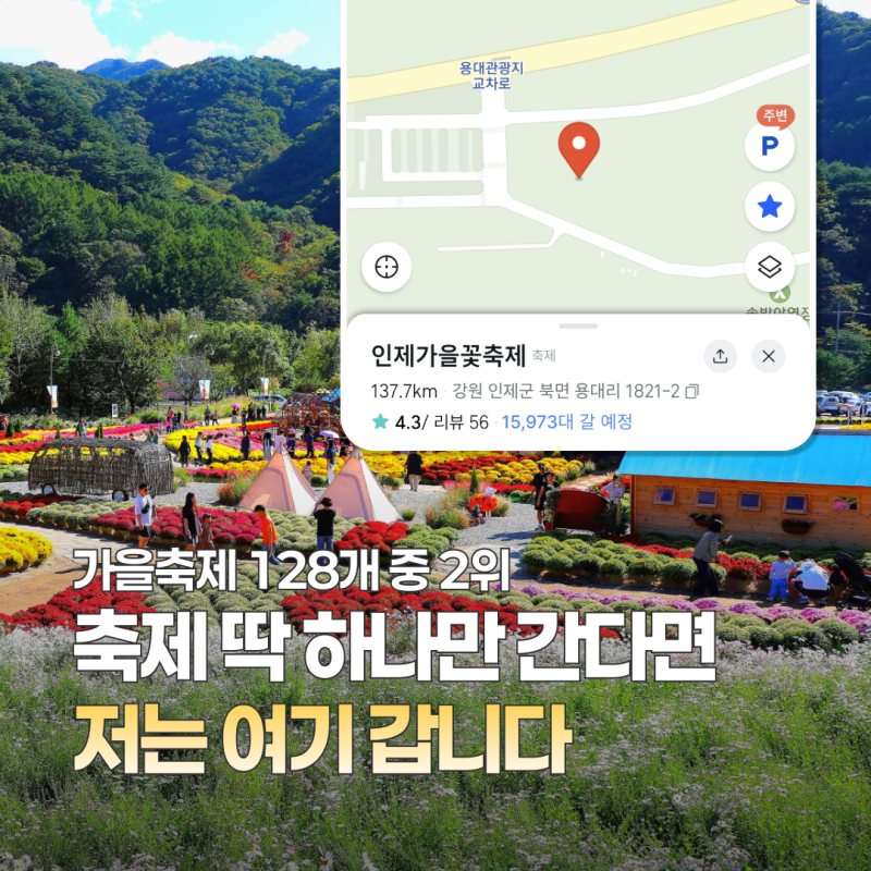 10월 축제 추천, 인제 가을꽃축제 | 가을축제 128개 중 2위꽃축제 일정·프로그램·시티투어