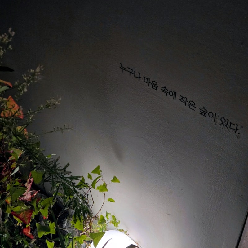 홍대 대형 카페 내면의 발견 커피와 말차라떼 마시며 쉬어가기 좋은 곳