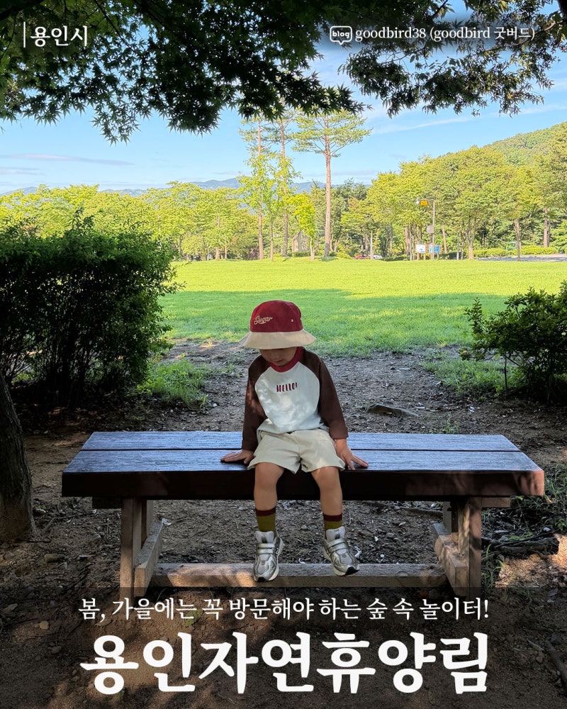 [용인시]봄, 가을에는 꼭 방문해야 하는 숲 속 놀이터!_용인자연휴양림