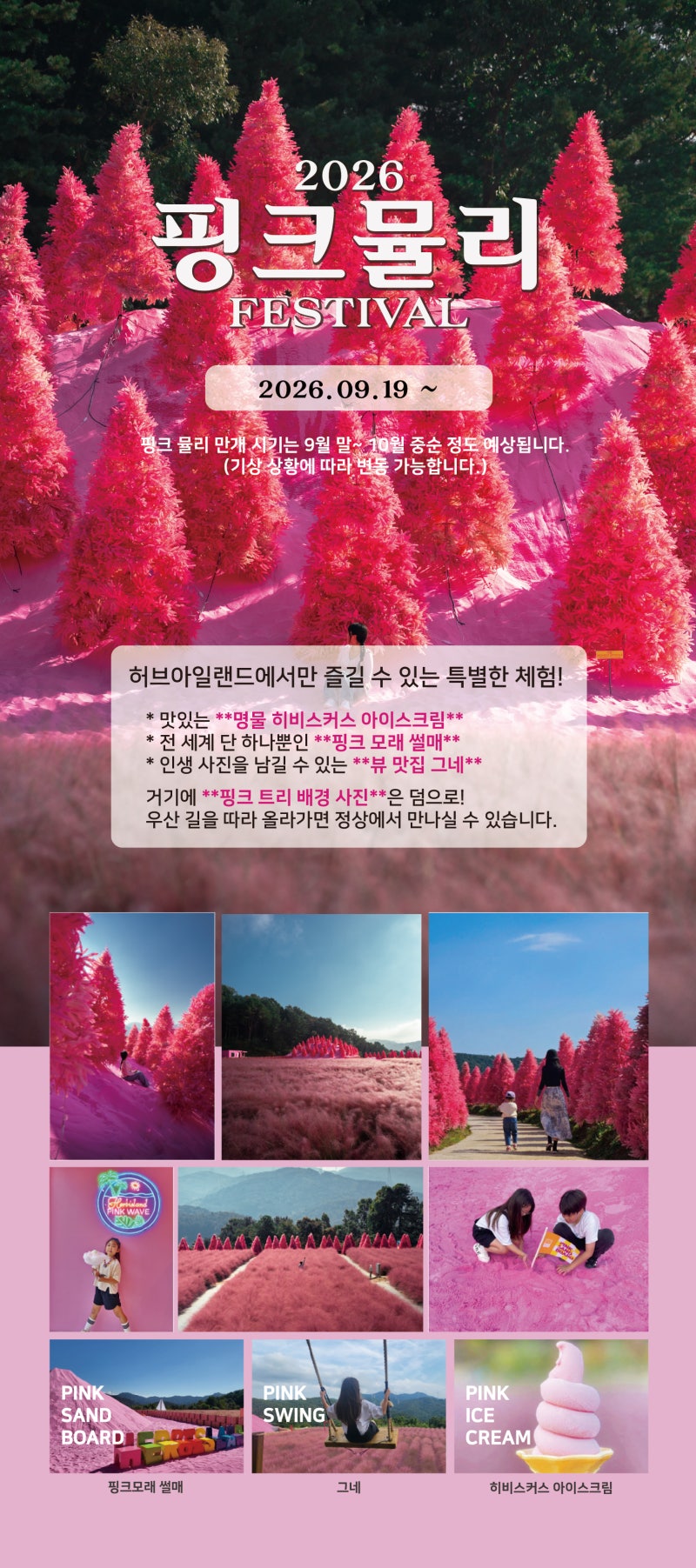 [포천 아이와 가볼 만한 곳] 분홍빛 만개! 2026 포천 허브아일랜드 핑크뮬리 축제 완벽 가이드 ....