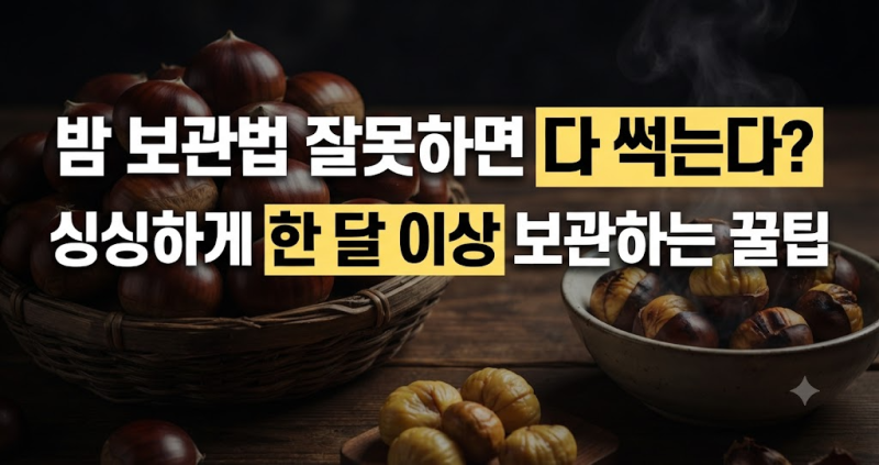생밤·깐밤·찐밤 보관법 총정리! 벌레 안 생기게 오래 보관하는 방법