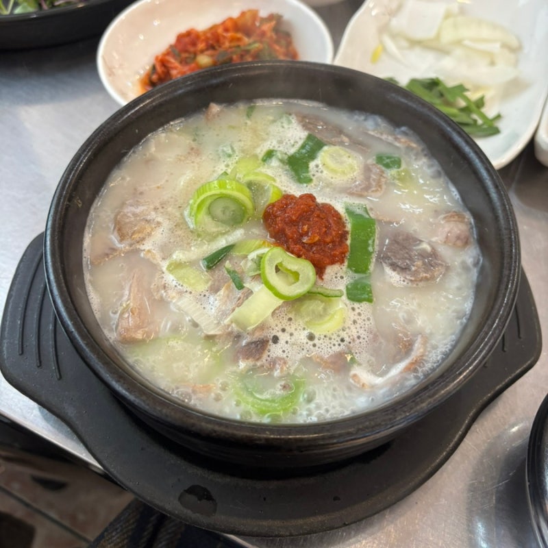 [북창동 맛집/남파랑국밥] 서울 시청역 근처 부산식 돼지국밥 찐 맛집