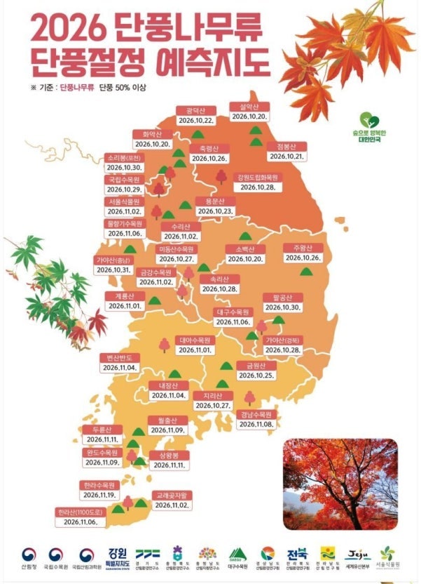 "산림청이 찍어준 단풍 달력!" 2026 단풍 절정 시기 설악산 10월 20일 & 내장산 11월 4일 (단풍 예....
