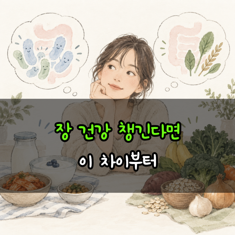 프로바이오틱스만 챙겼다면… 프리바이오틱스까지 알아야 하는 "이유"