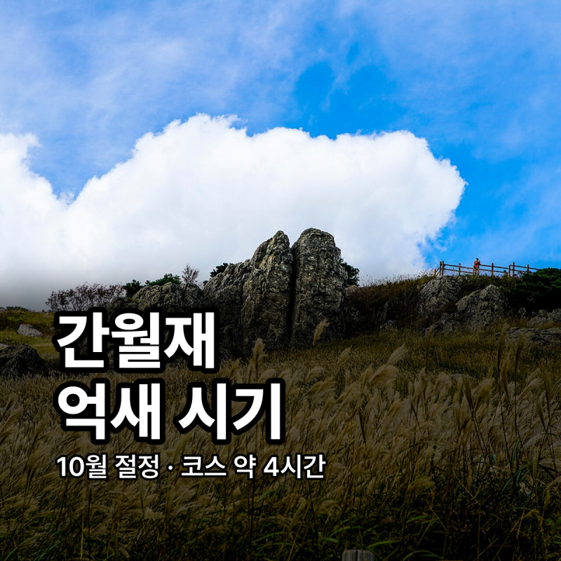 울산 간월재 억새 시기 등산코스