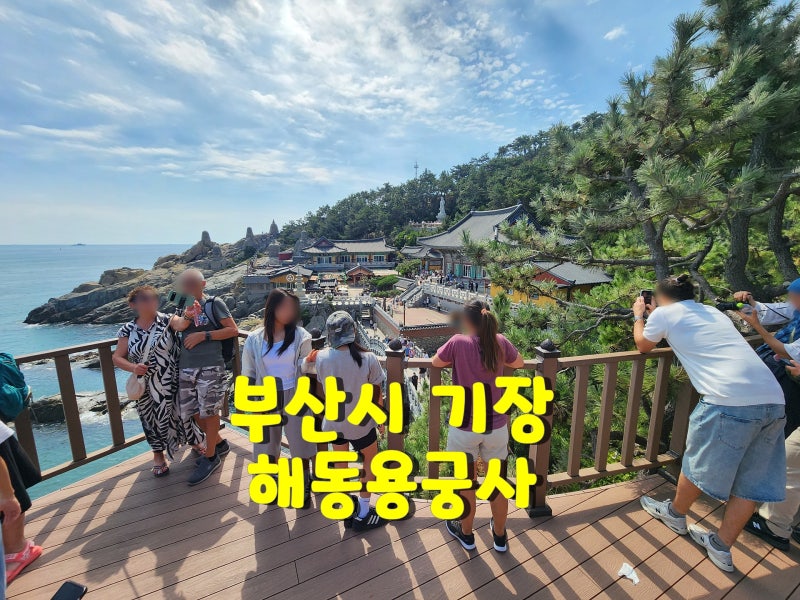 Busan Must-Visit: Haedong Yonggungsa Temple, the Closest Temple to the Sea in Gijang – An Honest Review! ☻️