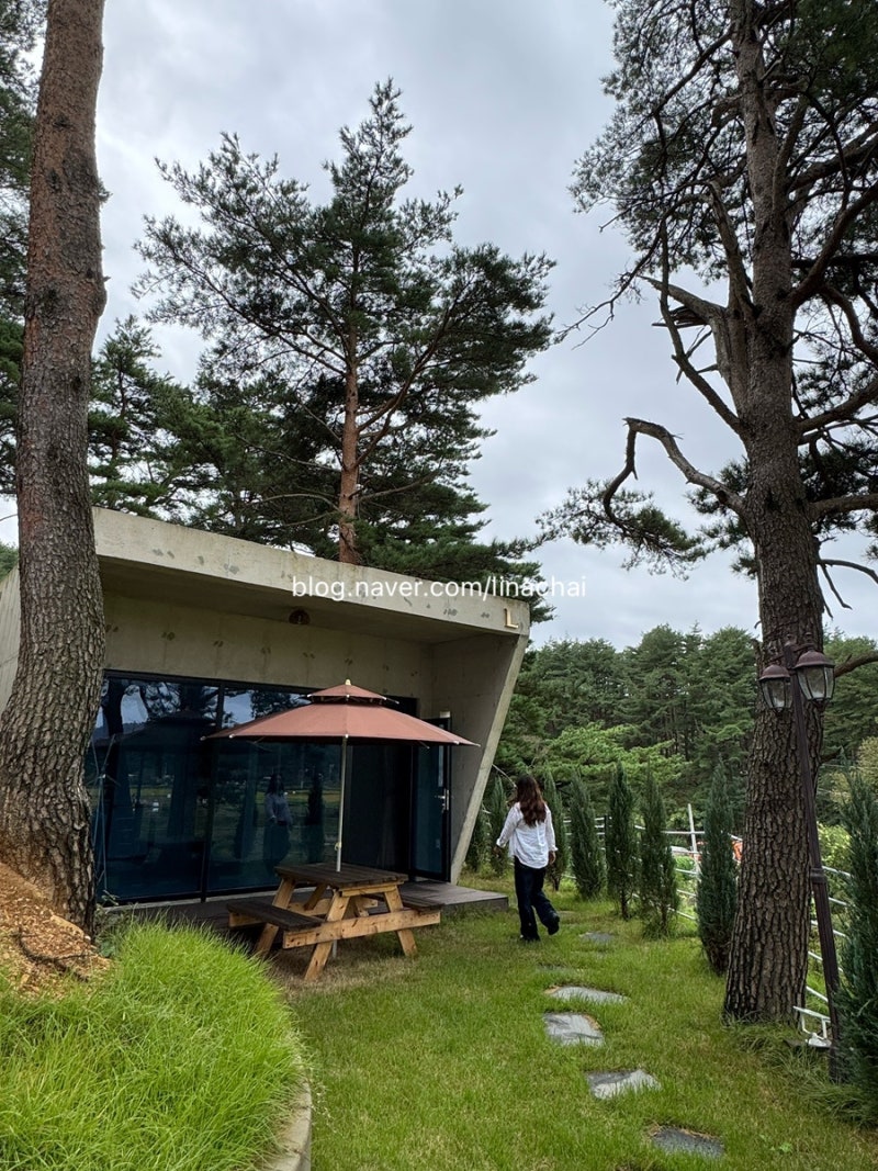 [강원도 펜션추천] 양양 프라이빗 독채 숙소 트리플리조트 내돈내산 재재방문 후기