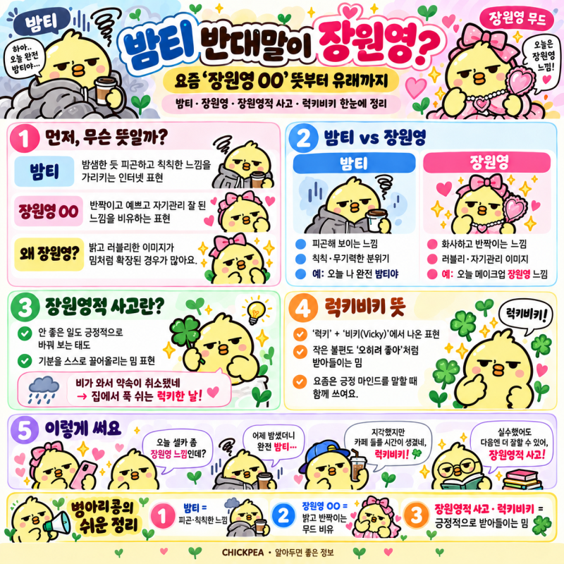 밤티 반대말이 장원영? 요즘 ‘장원영 OO’ 뜻부터 원영적 사고·럭키비키까지