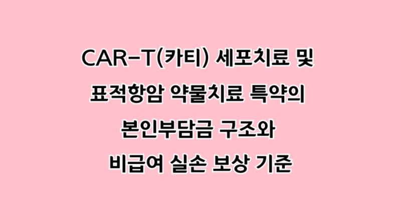 CAR-T(카티) 세포치료 및 표적항암 약물치료 특약의 본인부담금 구조와 비급여 실손 보상 기준