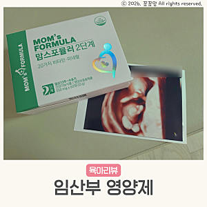임산부 영양제 철분제 엽산 복용시기 맘스포뮬러 2단계