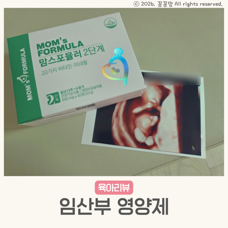 임산부 영양제 철분제 엽산 복용시기 맘스포뮬러 2단계