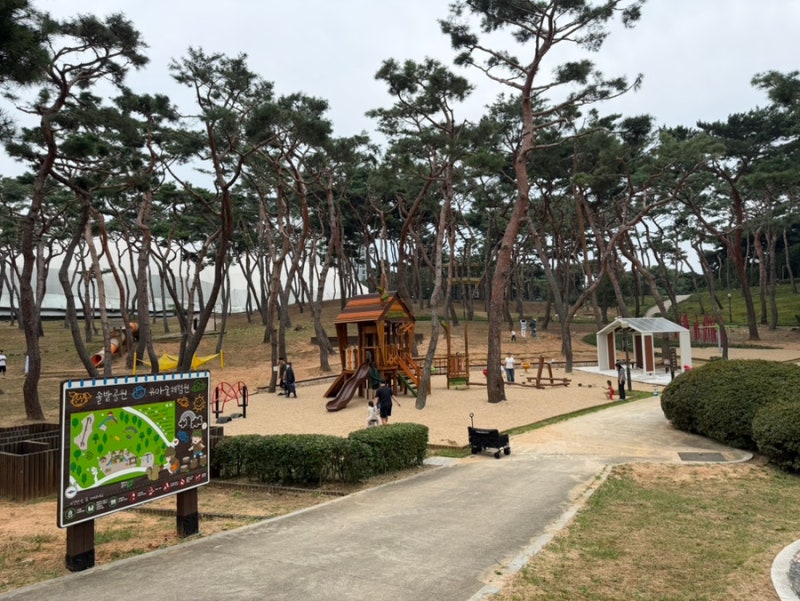 청주 솔밭공원 유아숲체험원, 아이랑 가볼만한 새로생긴 놀이터