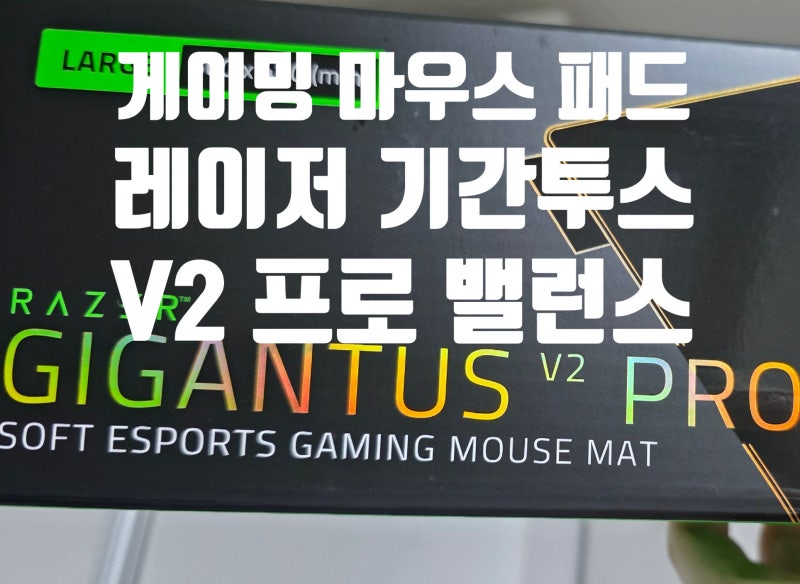 게이밍마우스패드 추천 델타포스 탈출을 함께한 육각형, 레이저 기간투스 V2 프로 밸런스 후....