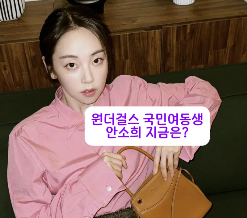 "구독 취소하겠습니다" 댓글 나온 안소희…원더걸스 프로필 나이·학교·고향 한눈에