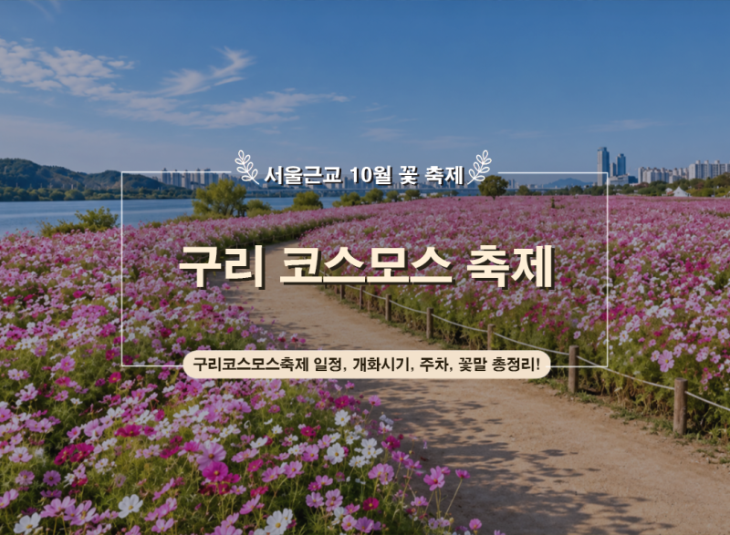 2026 구리 코스모스축제 일정｜10월 서울근교 꽃구경 개화시기·주차