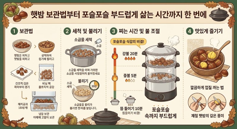 햇밤 보관법부터 포슬포슬 부드럽게 삶는 시간까지 한 번에