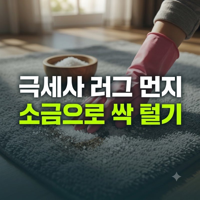 가을 환절기마다 챙기는 거실 극세사 러그 먼지 털기와 관리 노하우