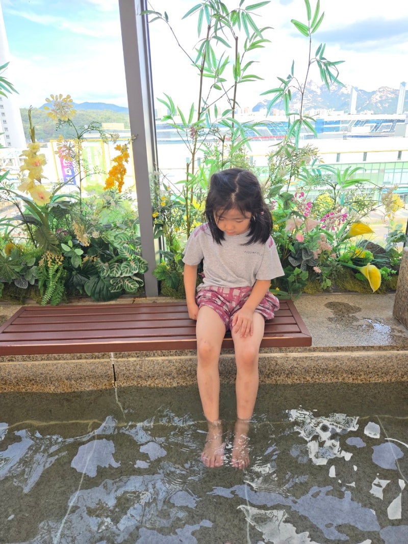 [고양/일산] 고양 일산 아이와 가기 좋은 찜질방 사우나 ♀️ 스타필드 고양 아쿠아필드 내돈....