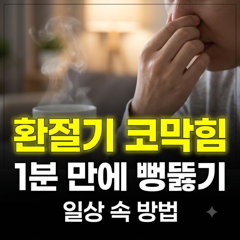 환절기 코막힘 1분 만에 완화하는 법: 즉각적인 대처법부터 비염 관리 루틴까지