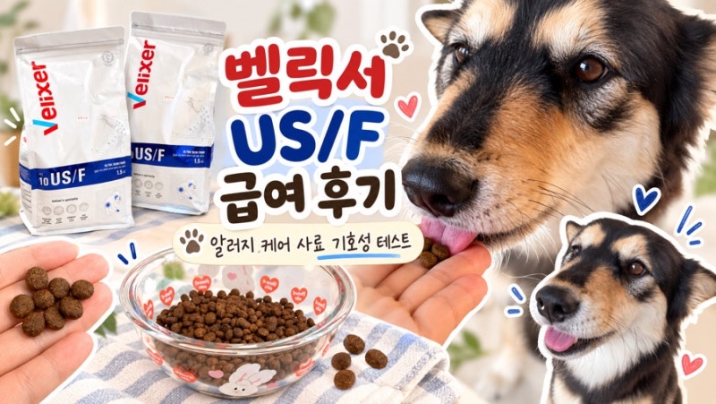 강아지 알러지 사료 벨릭서 US/F 가수분해 처방식 급여 후기