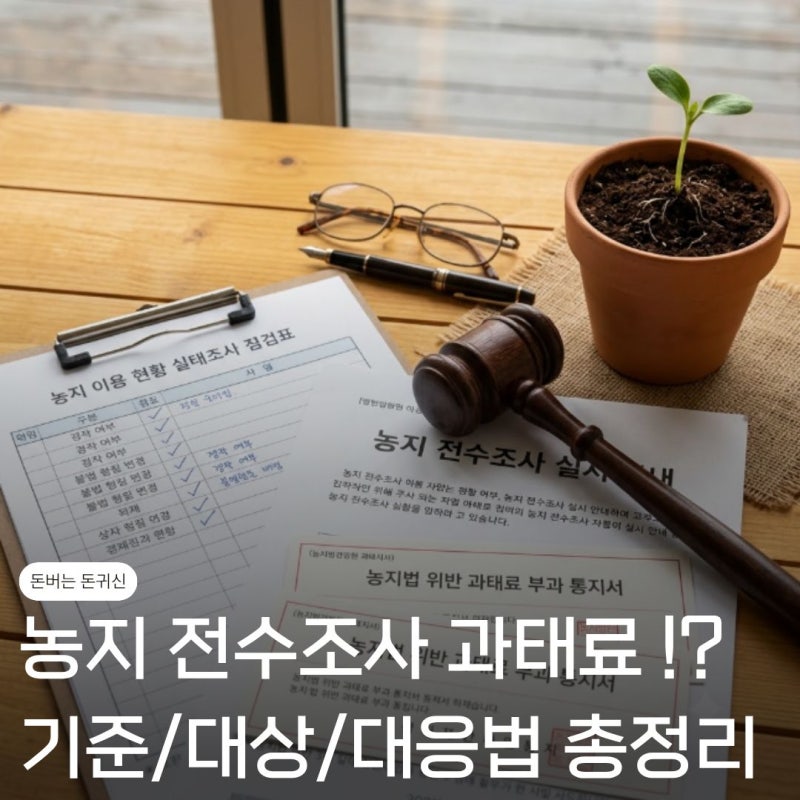 "위반사항 있을까.." 농지 전수조사 과태료 기준·대상 확인하고 대비하는 방법