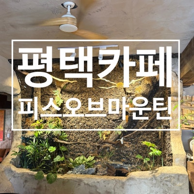 [ 피스오브마운틴 ] 분위기부터 커피까지 취향저격, 프렌치토스트 꼭 먹어보세요 :)