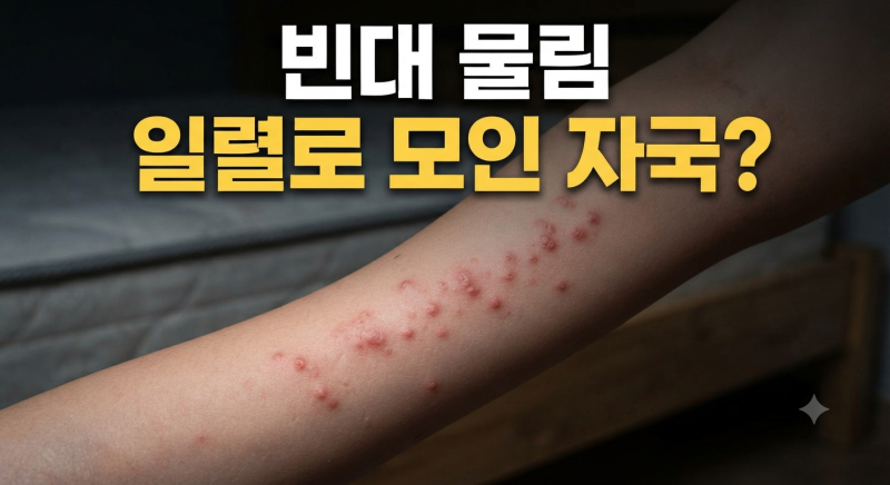 빈대 물린자국 모양·증상·특징·약·치료방법 총정리