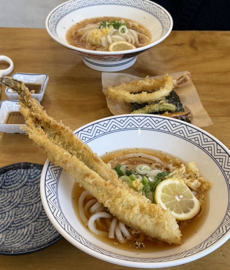 [용산 맛집] 48시간 숙성 자가제면의 쫄깃함! ‘우동키노야 신용산본점’ 붓가케우동 러버의 ....
