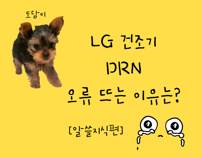 LG 건조기 DRN 오류 뜨는 이유는? 배수 문제 원인과 해결방법 총정리