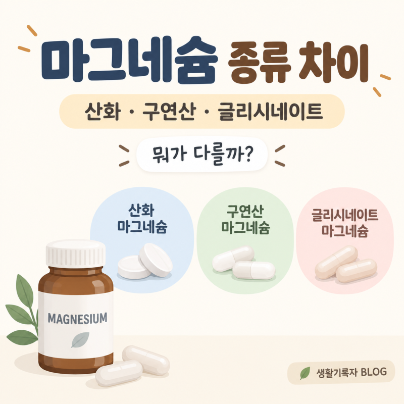 마그네슘 종류 차이｜산화·구연산·글리시네이트, 뭐가 다를까?