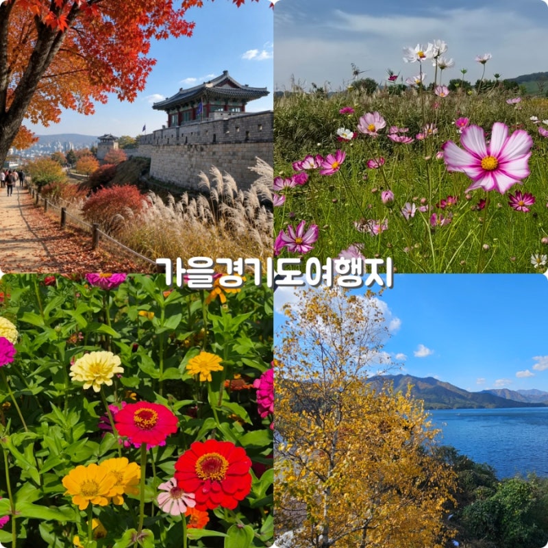 Gyeonggi Province Attractions: Enjoy Autumn Scenery and History Together