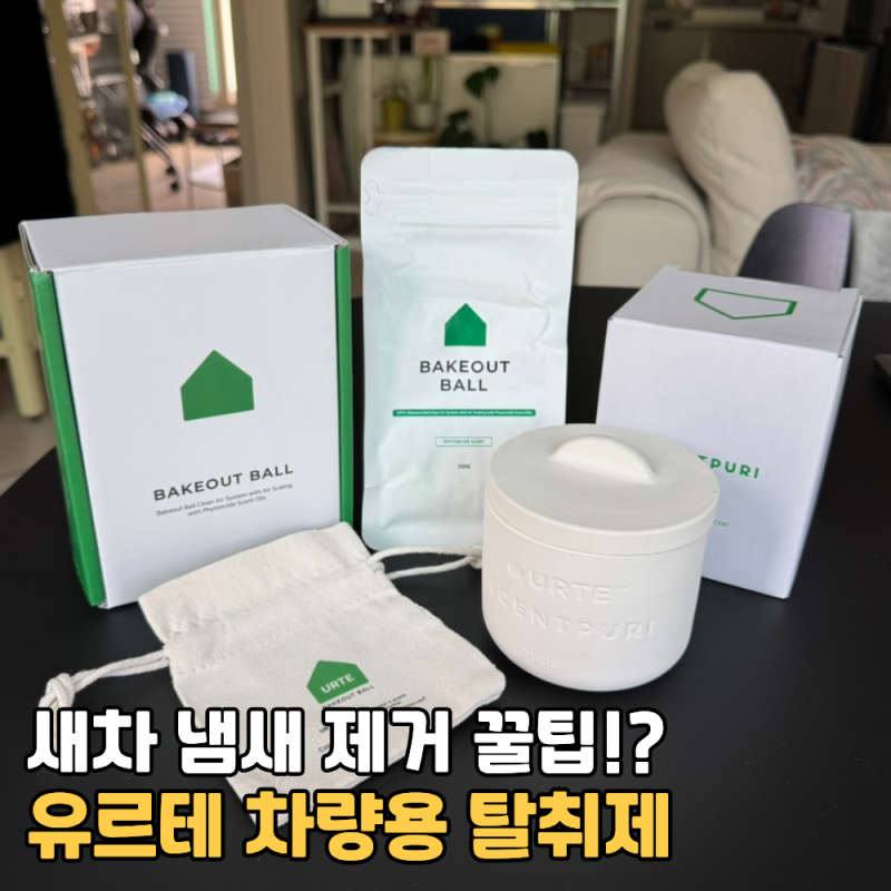 새차 타자마자 머리 띵하고 속 메스꺼운 분들 필수 확인! 신차 냄새 싹 빼는 법