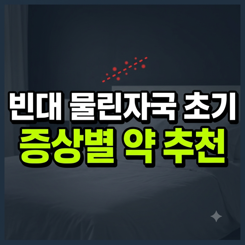빈대 물린자국 초기 모양과 증상별 약 추천 (모기 물림 차이점)