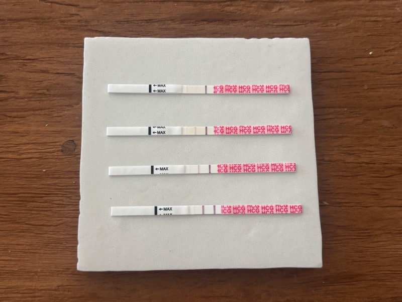 시험관 일기 | 5일 배아야 무럭무럭 자라야 한다, 임테기 두줄, 강남차병원 피검사 수치, 증상